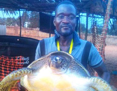 Protection tortues Cotonou