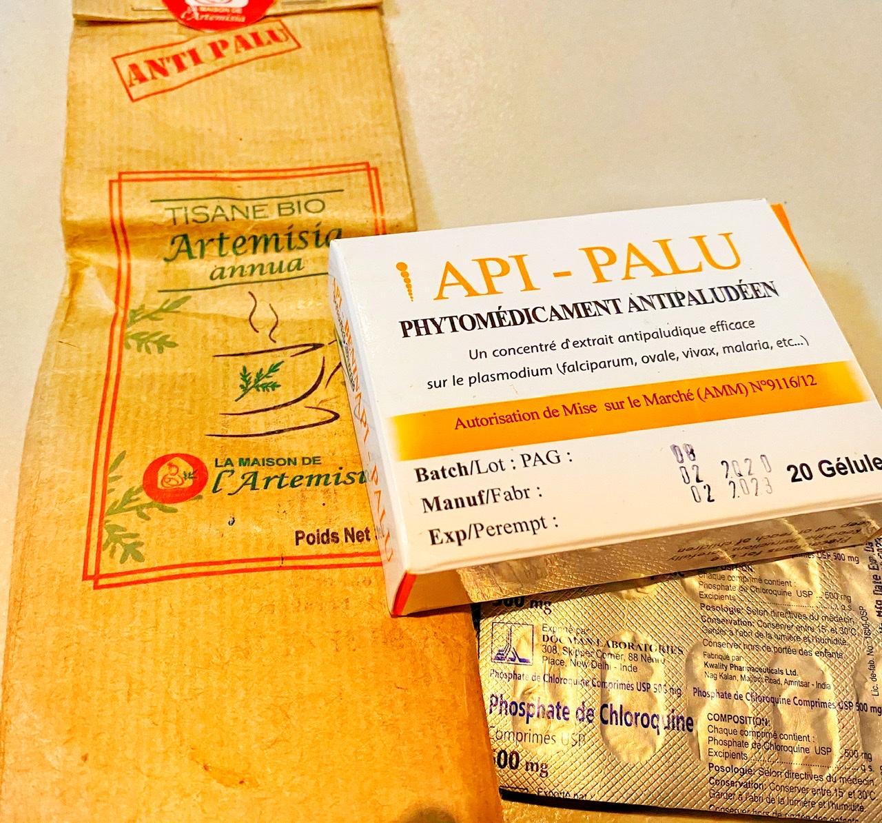 Paludisme traitement phytothérapie