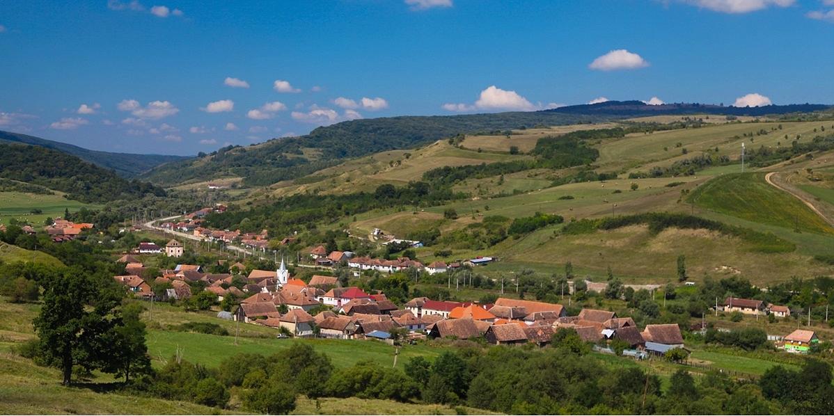 projet engagement civique Fondation Mihai Eminescu Trust