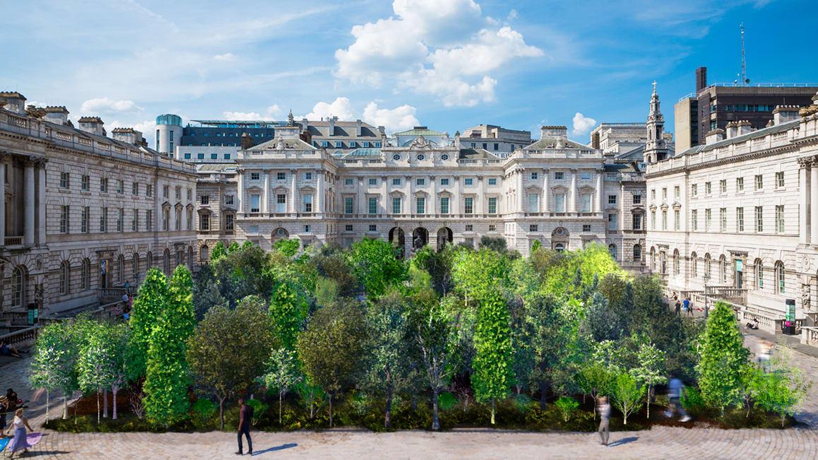 Somerset House Royaume Uni arbres