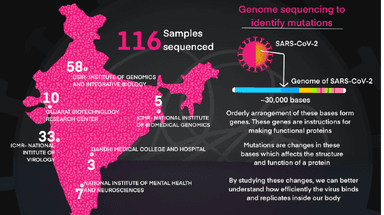 Le variant b.1.617 indien du covid-19