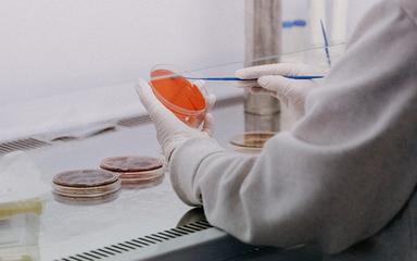 Covid-19 : C.37, un possible variant péruvien ?