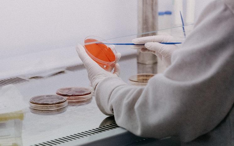 Covid-19 : C.37, un possible variant péruvien ?