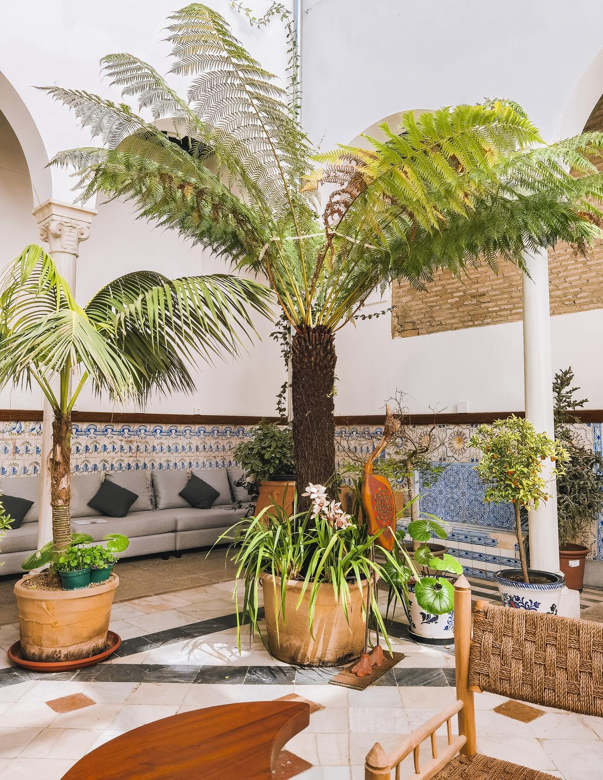 Le Patio de los Perfumes à Grenade