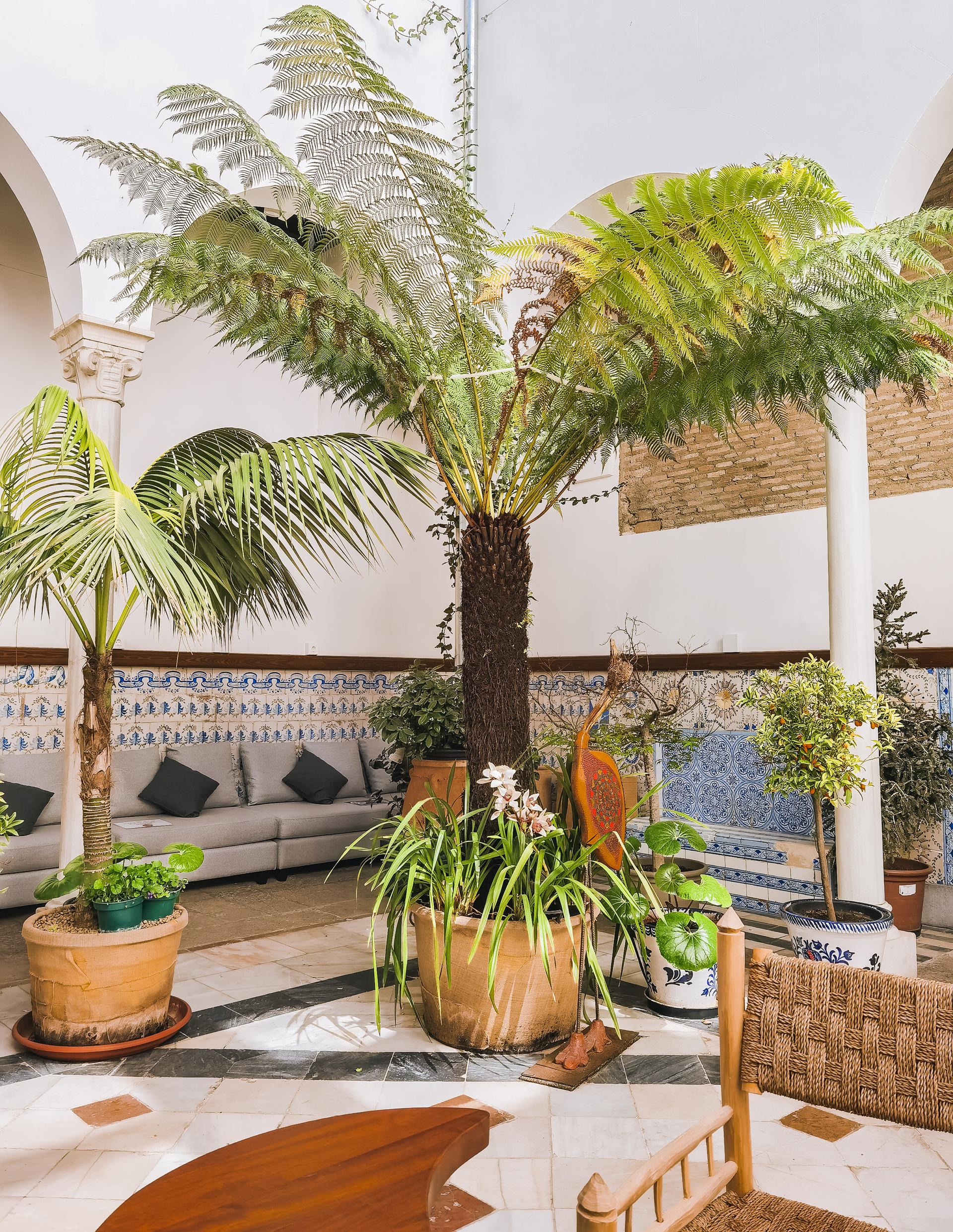 Le Patio de los Perfumes à Grenade