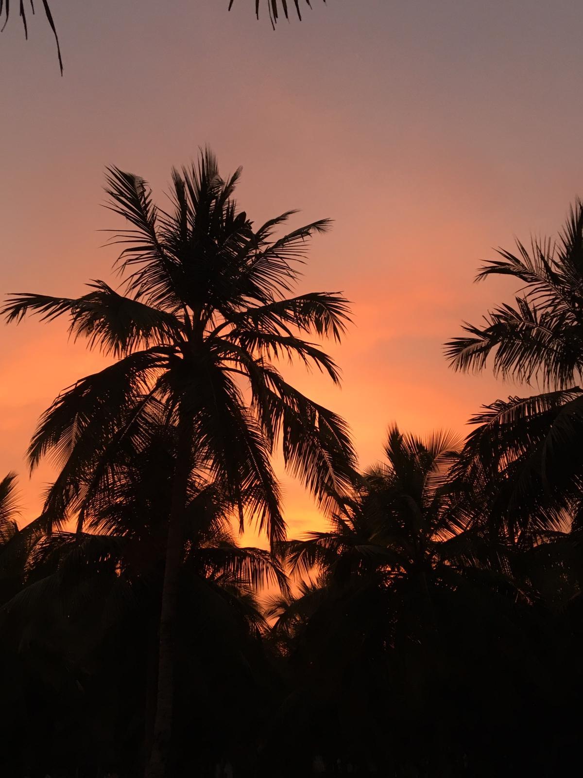 Coucher du soleil au Bénin