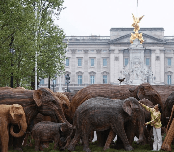 Des éléphants en bois devant Buckingham Palace