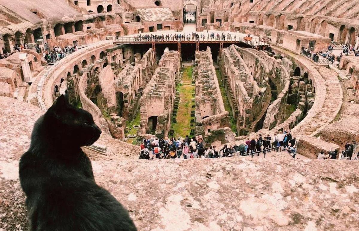 Nerina observant le Colisée