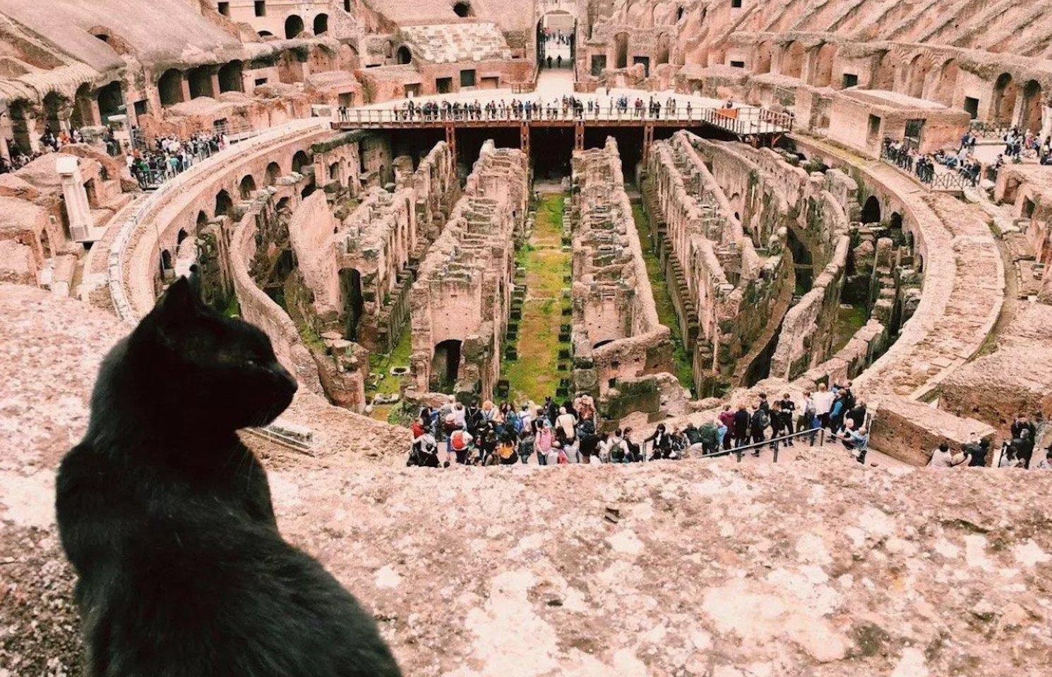 Nerina observant le Colisée