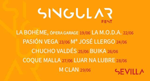 Affiche Singular Fest