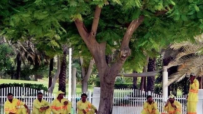 arrêt de travail dubai