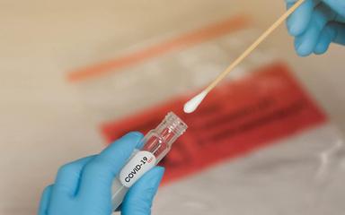 un médecin tient un test de criblage pcr pour identifier les variants du covid