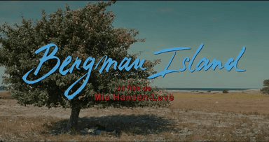 affiche du film Bergman Island