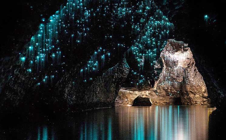 La grotte de Waitomo avec les vers luisants