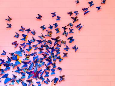 Une multitude de papillons bleus sur fond rose poudré