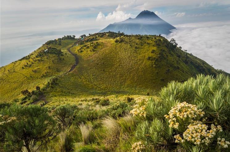 merbabu devant lemerapi_