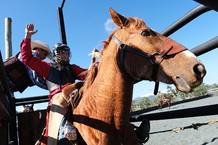 Un rodéo man de Dumbéa s'entraine sur son cheval prêt à commencer son rodéo en Nouvelle-Calédonie