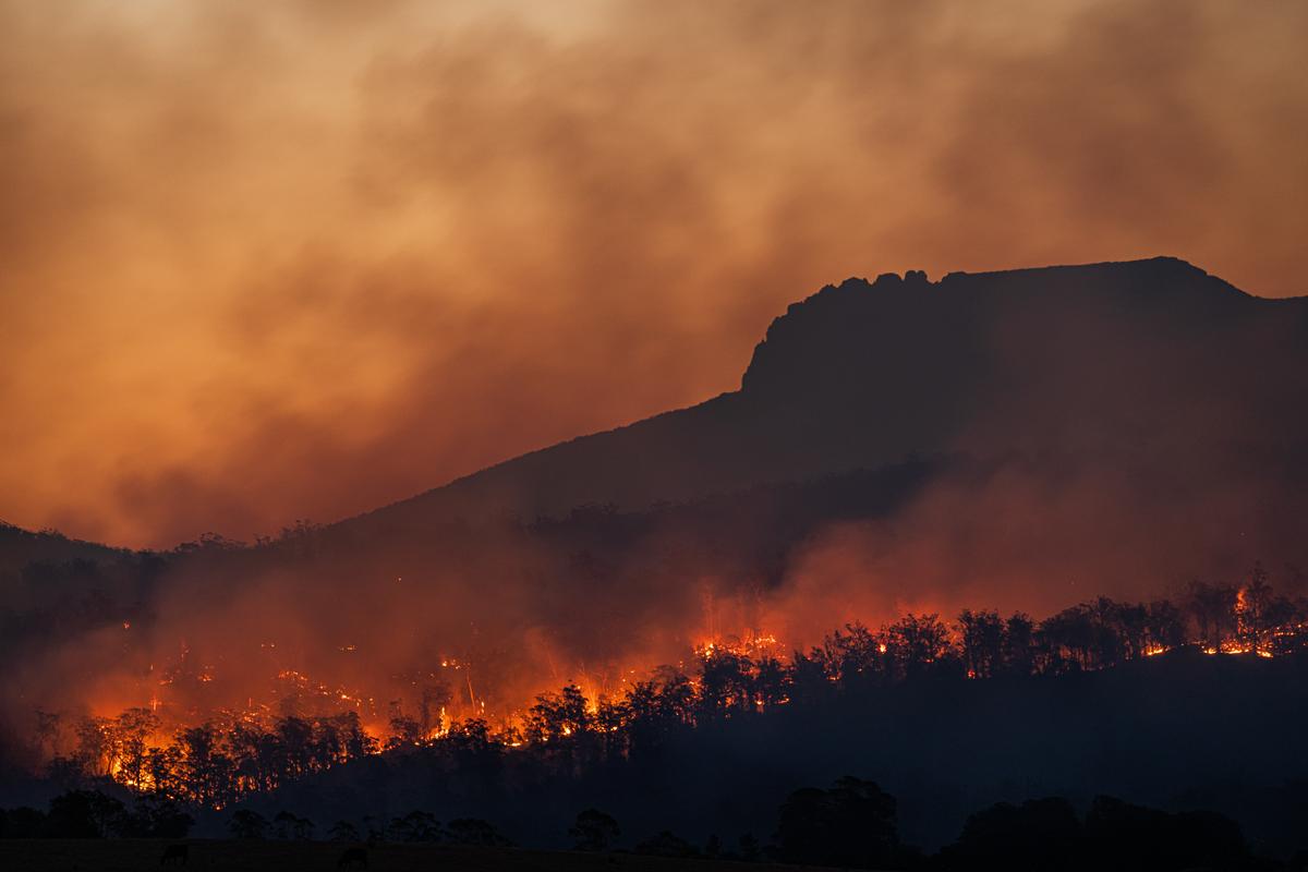 feu de foret en Grèce