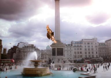 Trafalgar Square
