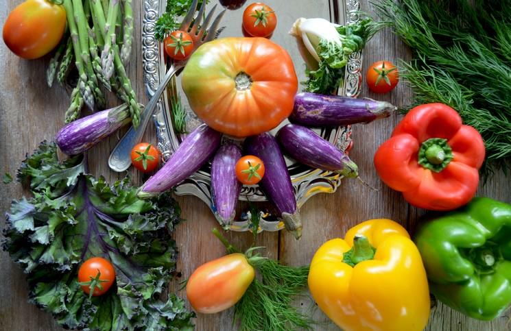 nadine-primeau-wpoKpJqOsKE-unsplash