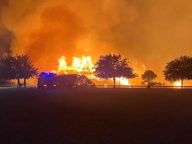 Incendie Sierra Bermeja