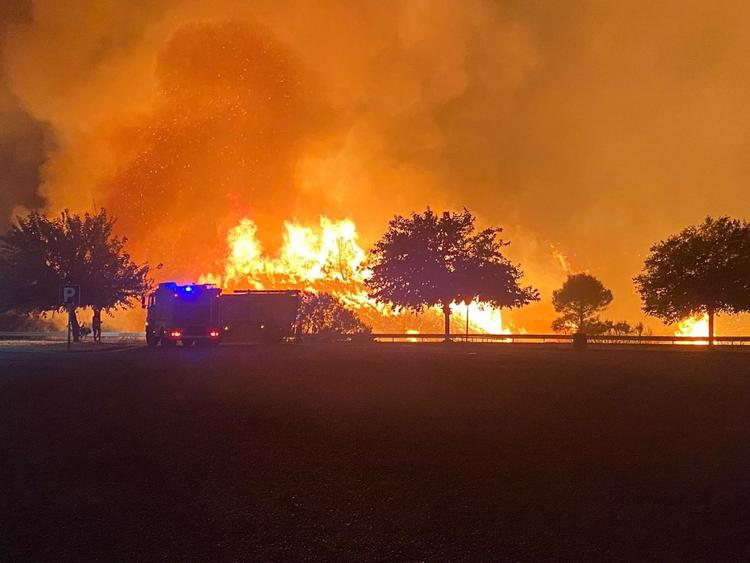 Incendie Sierra Bermeja