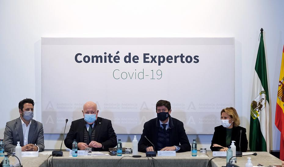 Junta de Andalucia Comité d’Experts