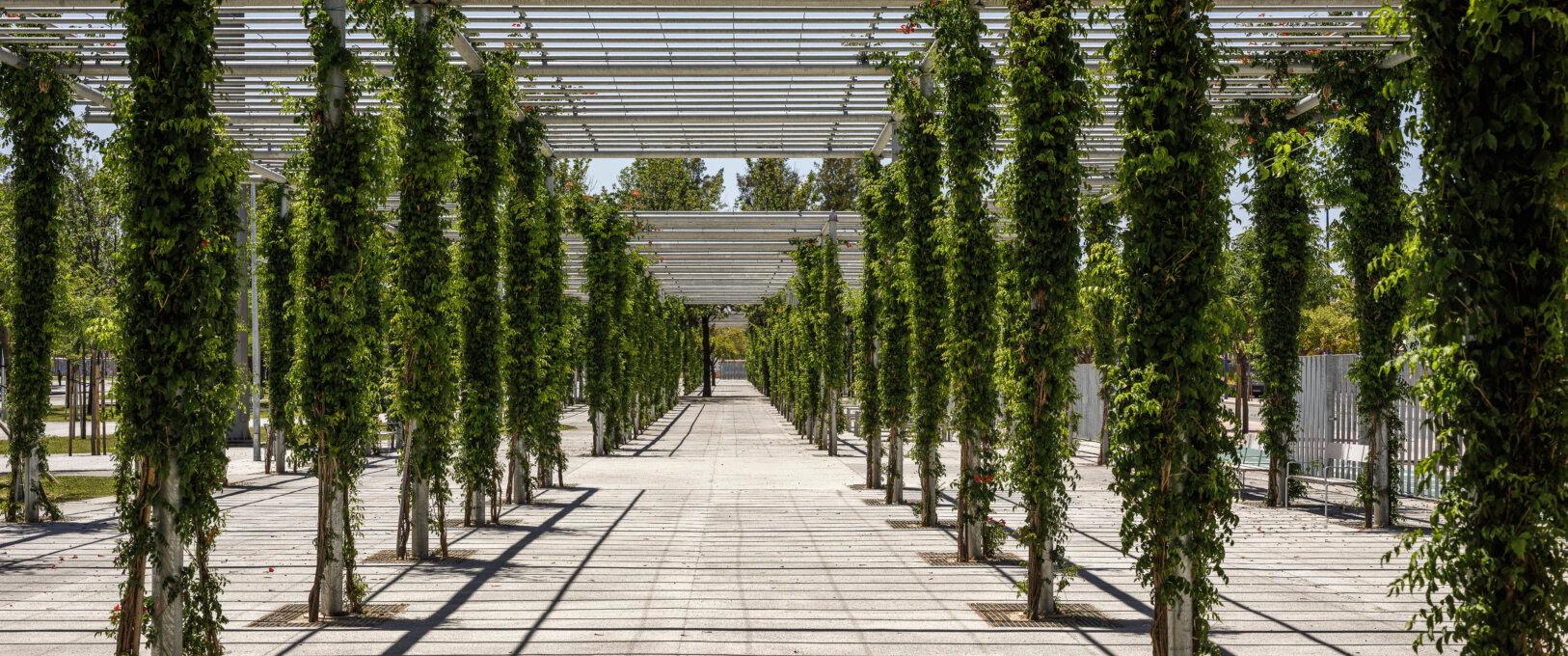 Parque Magallanes Sevilla