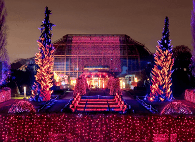 Christmas Garden Berlin