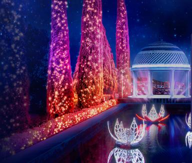 Las Luces del Botánico Malaga