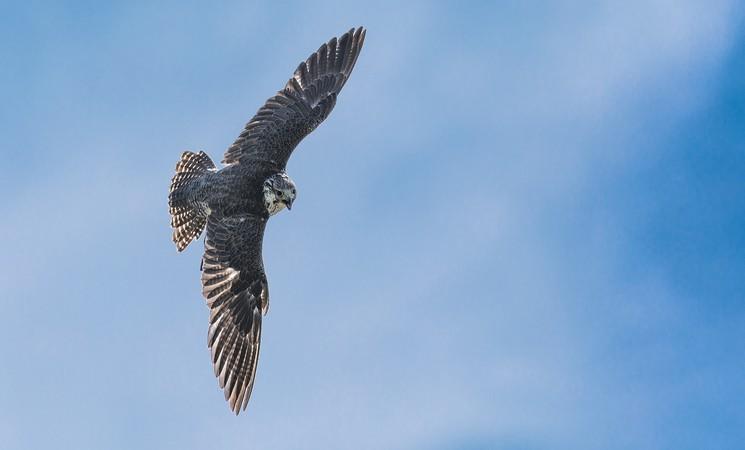 alan-mersom-NzkjR1pw0Lc-unsplash