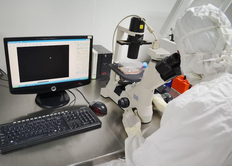 Un chercheur en train de faire des recherches