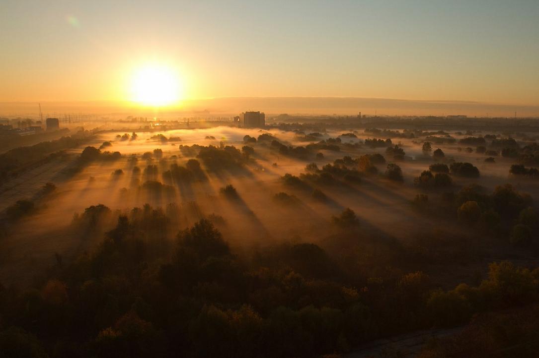 Photo du jour en Roumanie: le soleil se lève sur le parc naturel Văcărești (Bucarest)