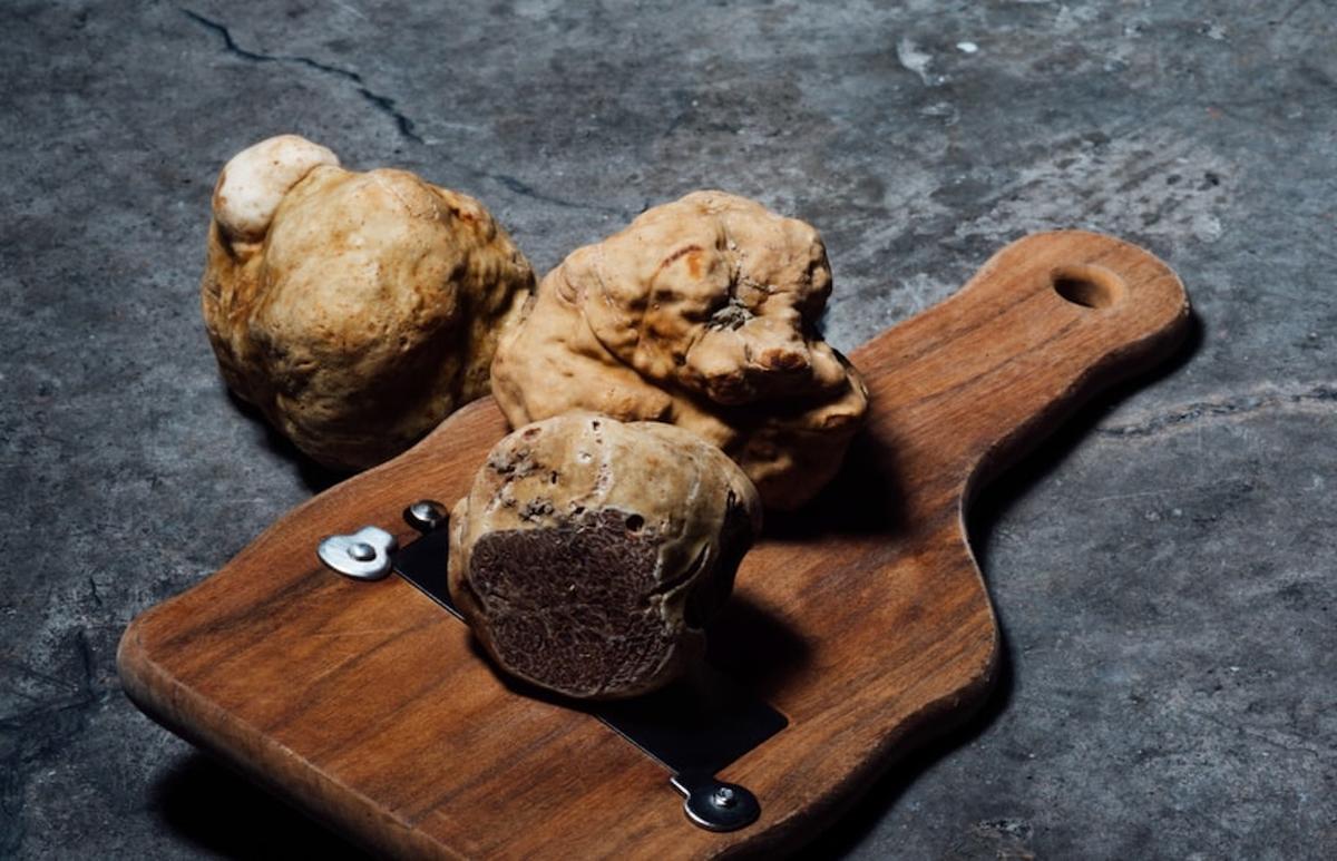 Des truffes italiennes posées sur une planche à découper