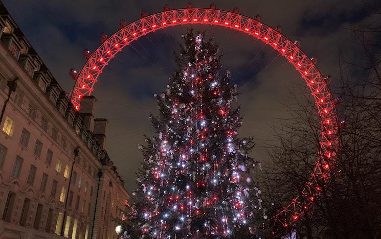 Le London Eye à Londres avec joli sapin de noel