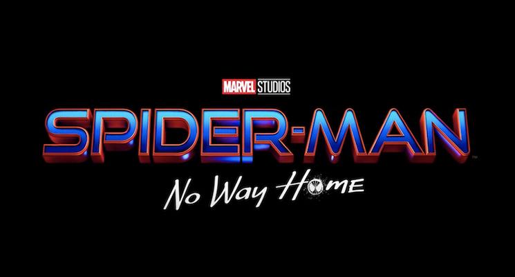 Affiche Spider-Man: No Way Home