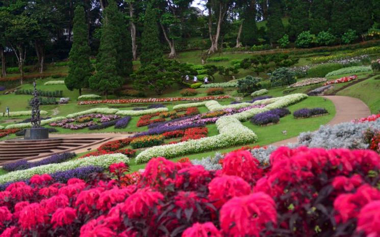 Un champ de fleurs en ThaPilande, à Bangkok