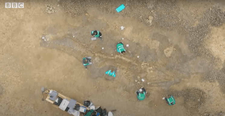 dinosaure dragon rutland water paléontologue