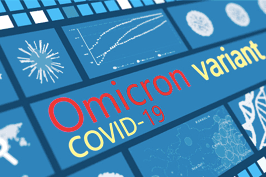 omicron suede cas covid-19