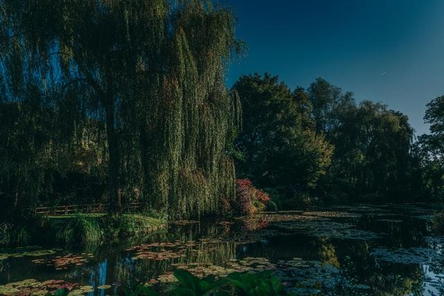 Les jardins de Monet