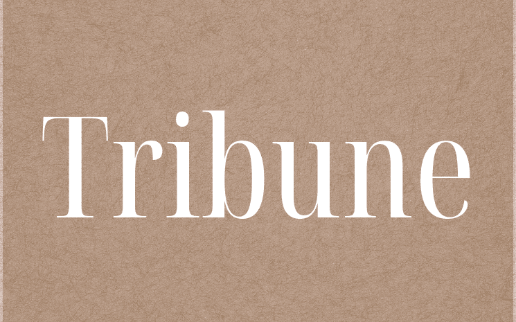 Tribune Emmanuel Macron, un quinquennat d'improvisation permanente pour les Français de l'étranger