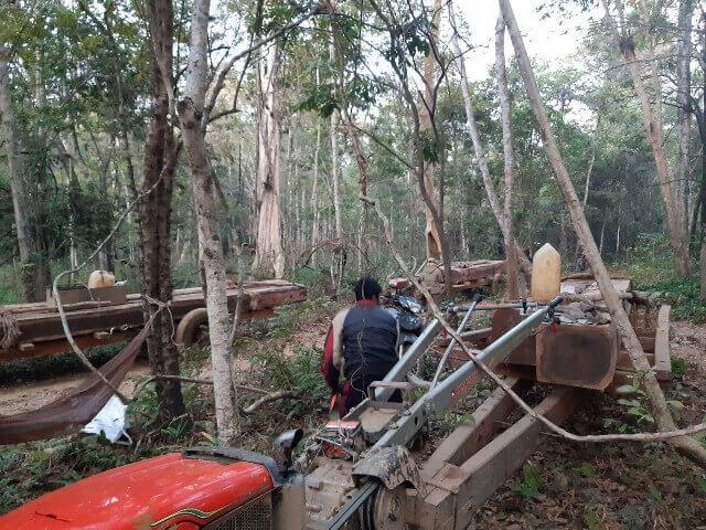 Coupe de bois dans la foret cambodgienne