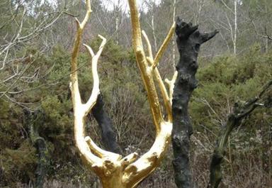 L'arbre d'or de Brocéliande office du tourisme du Morbihan