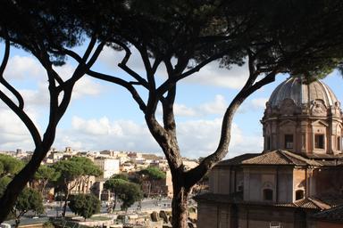 Deux pins parasol à Rome