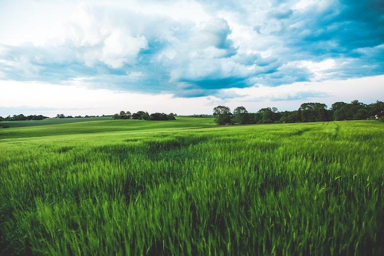 le printemps au Danemark
