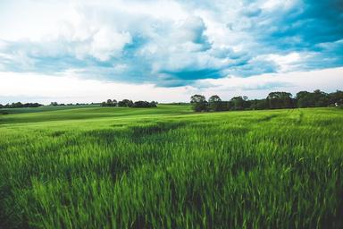 le printemps au Danemark