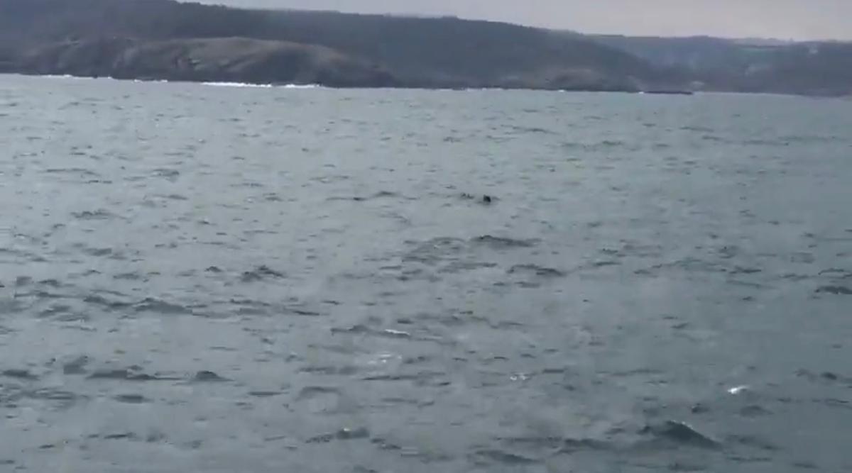 Une mine marine dans le Bosphore à Istanbul