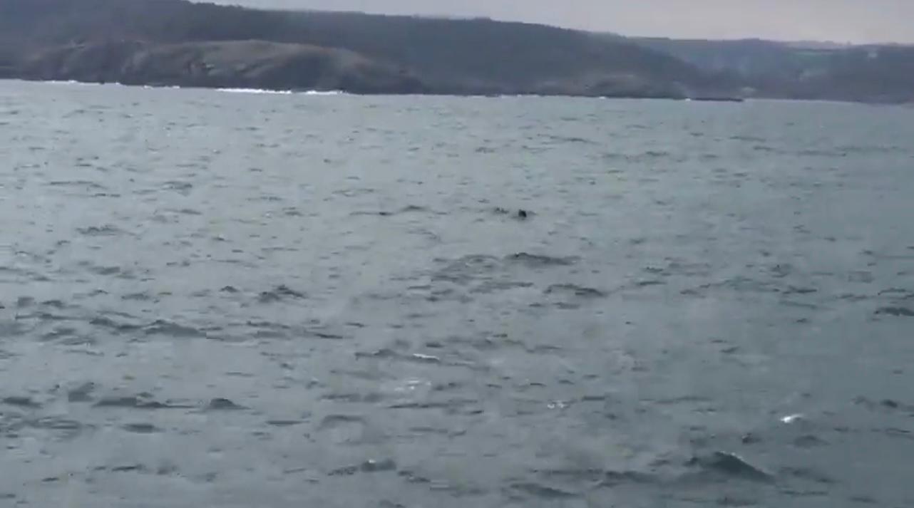 Une mine marine dans le Bosphore à Istanbul