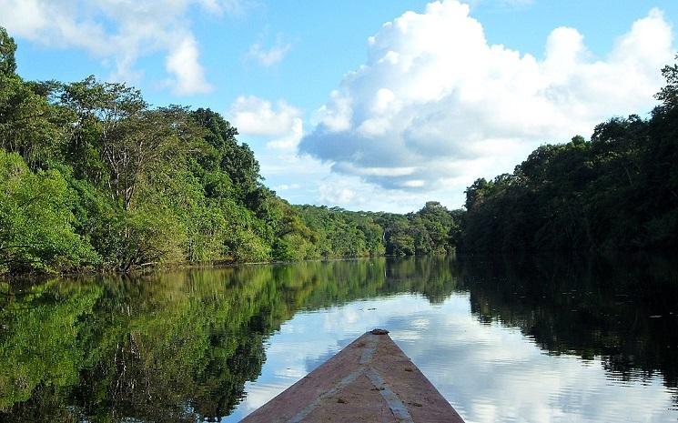 Un bateau de type pyrogue sur un fleuve bordé par des rives riches en végétation