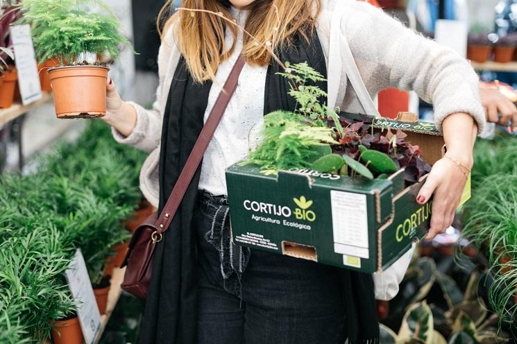 une femme porte une sélection de plantes lors de la vente flash maison bouture à madrid